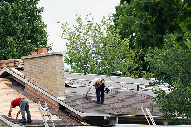 Roof Gutter Cleaning in Port Wentworth, GA